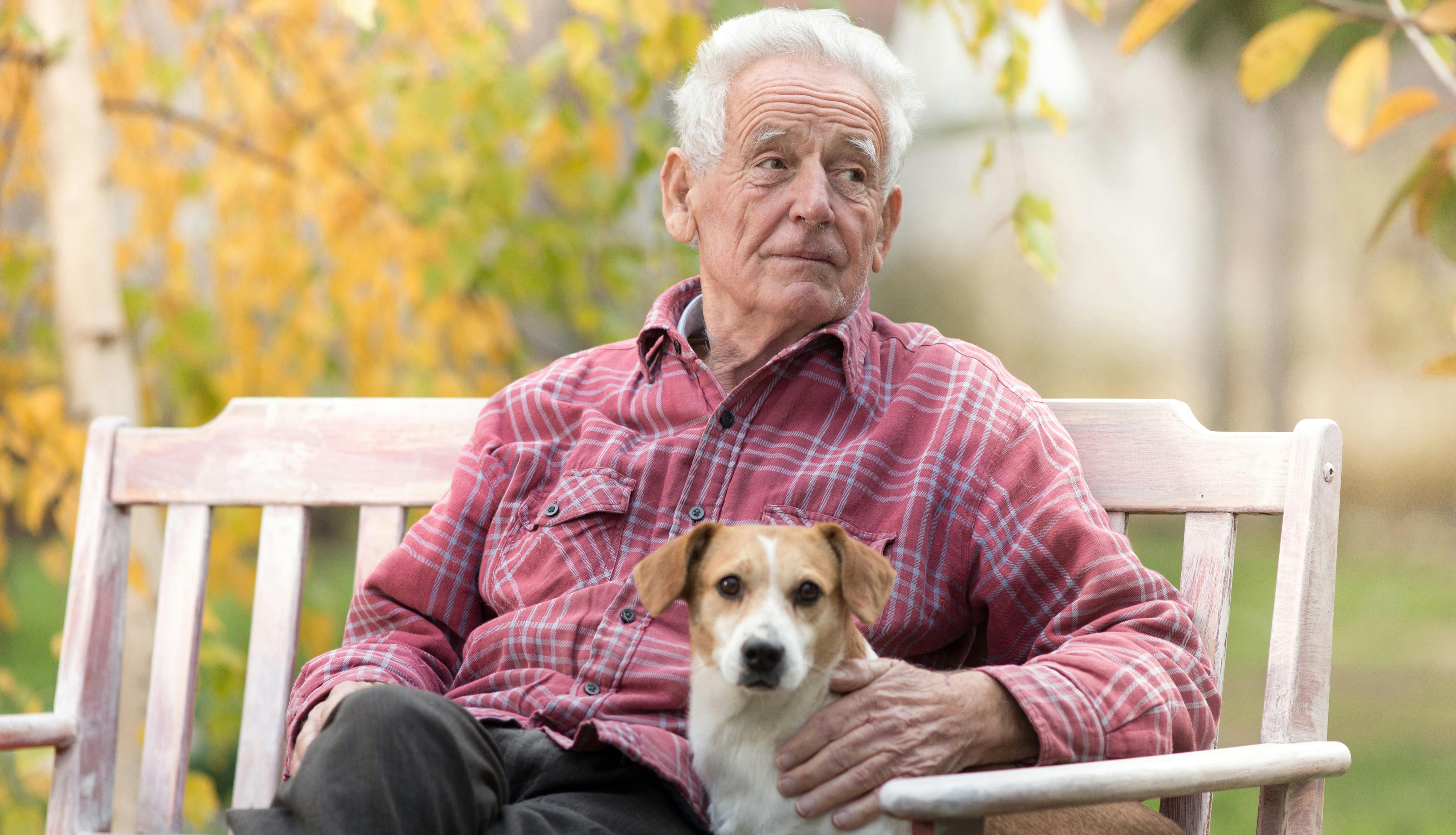 Brev til Puk: 91 år og alene min hund | Familie Journal